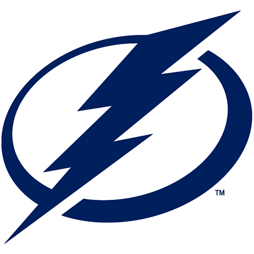 Tampa Bay Lightning iron ons